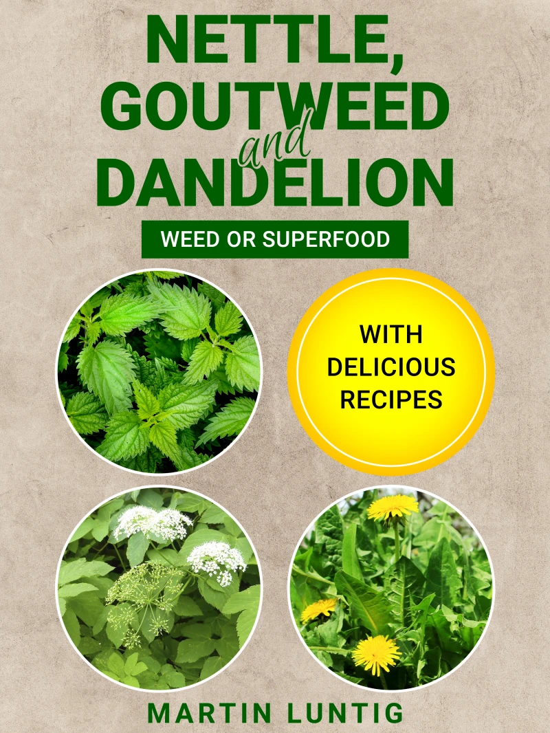 Portada: Nettle, Goutweed and Dandelion