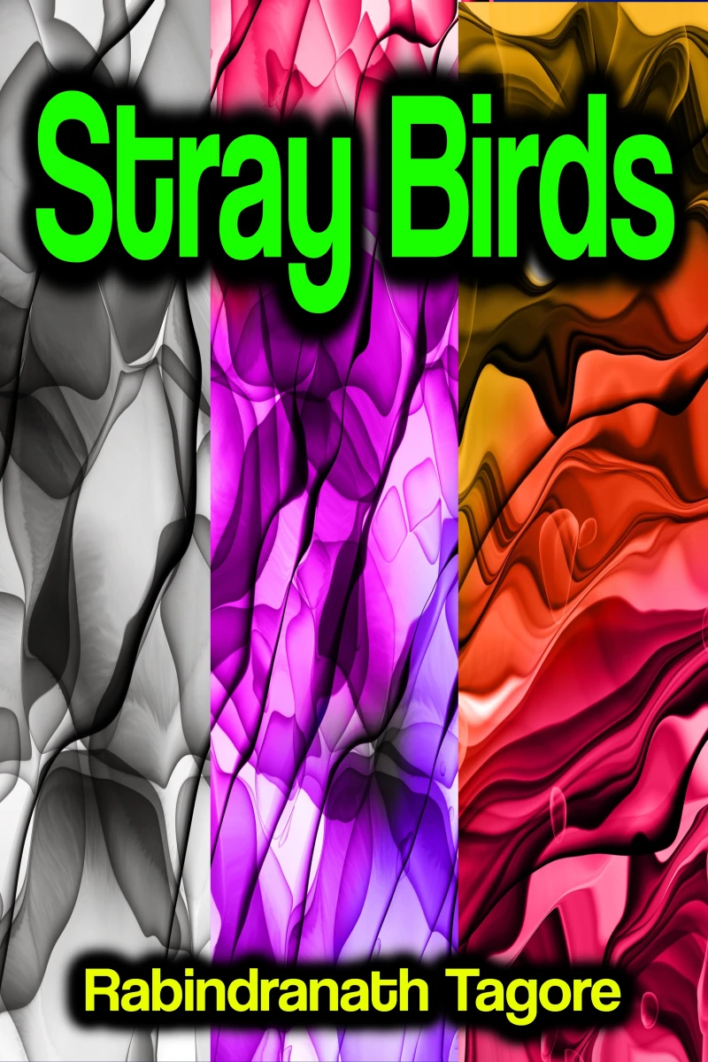 Portada: Stray Birds