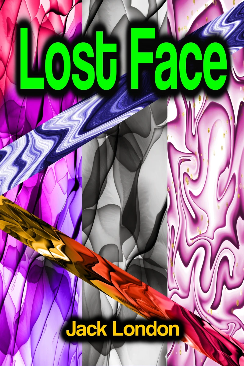 Portada: Lost Face
