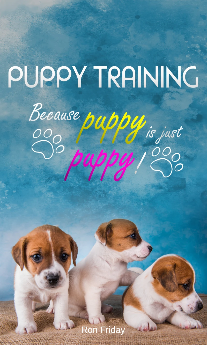 Portada: Puppy training because puppy is just puppy!