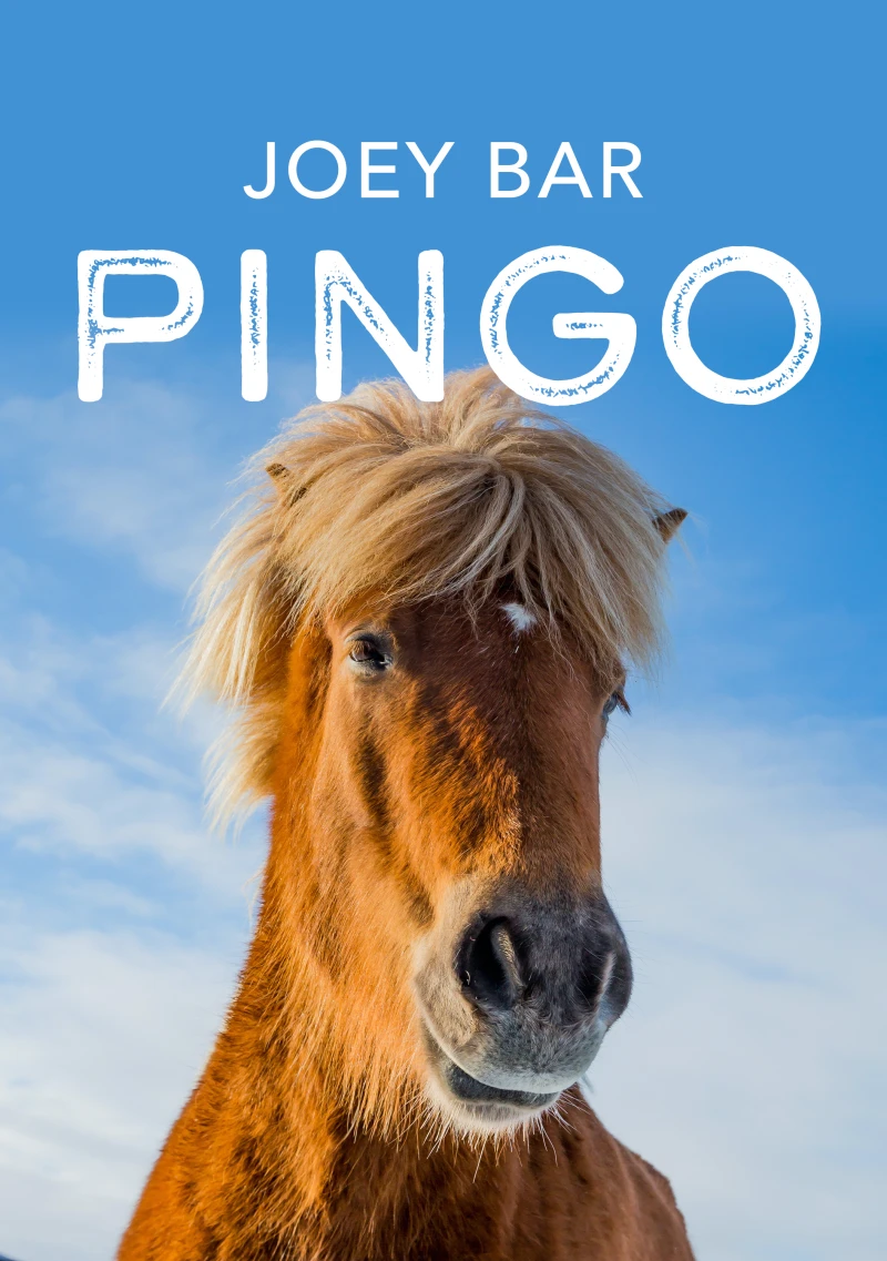 Portada: Pingo
