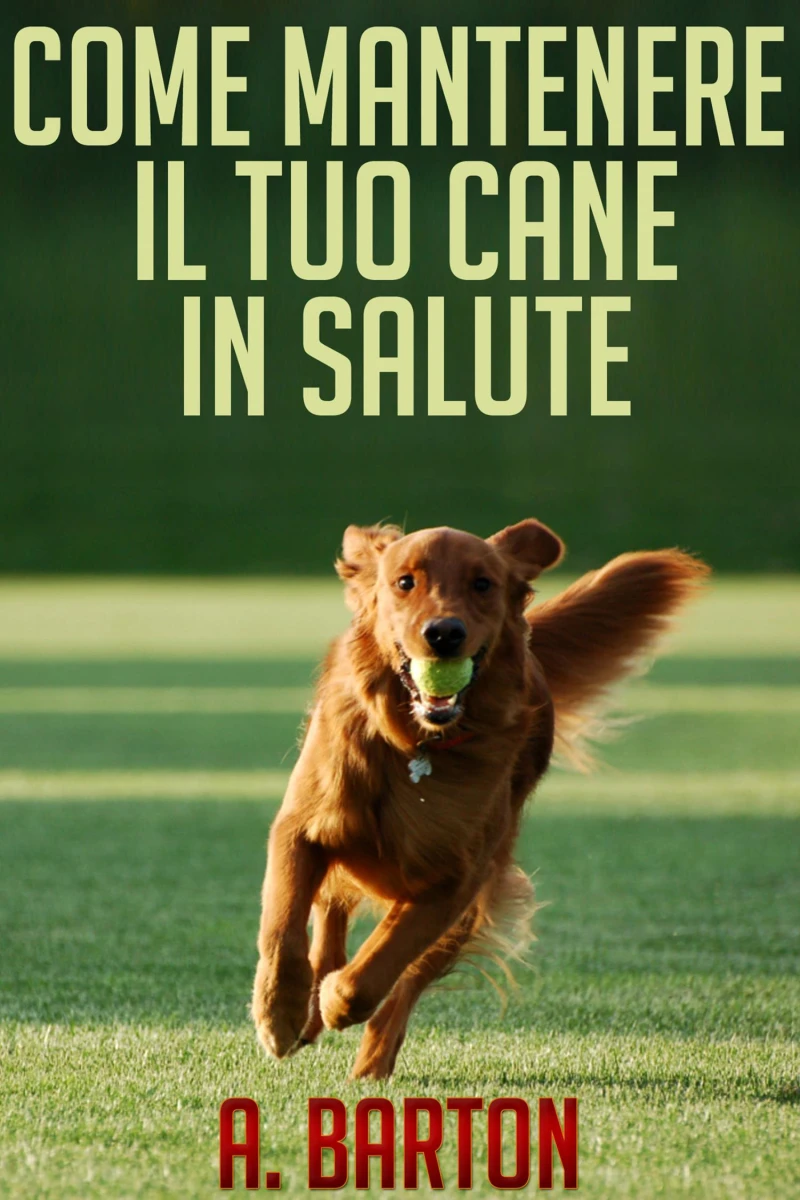 Portada: Come mantenere il tuo cane in salute
