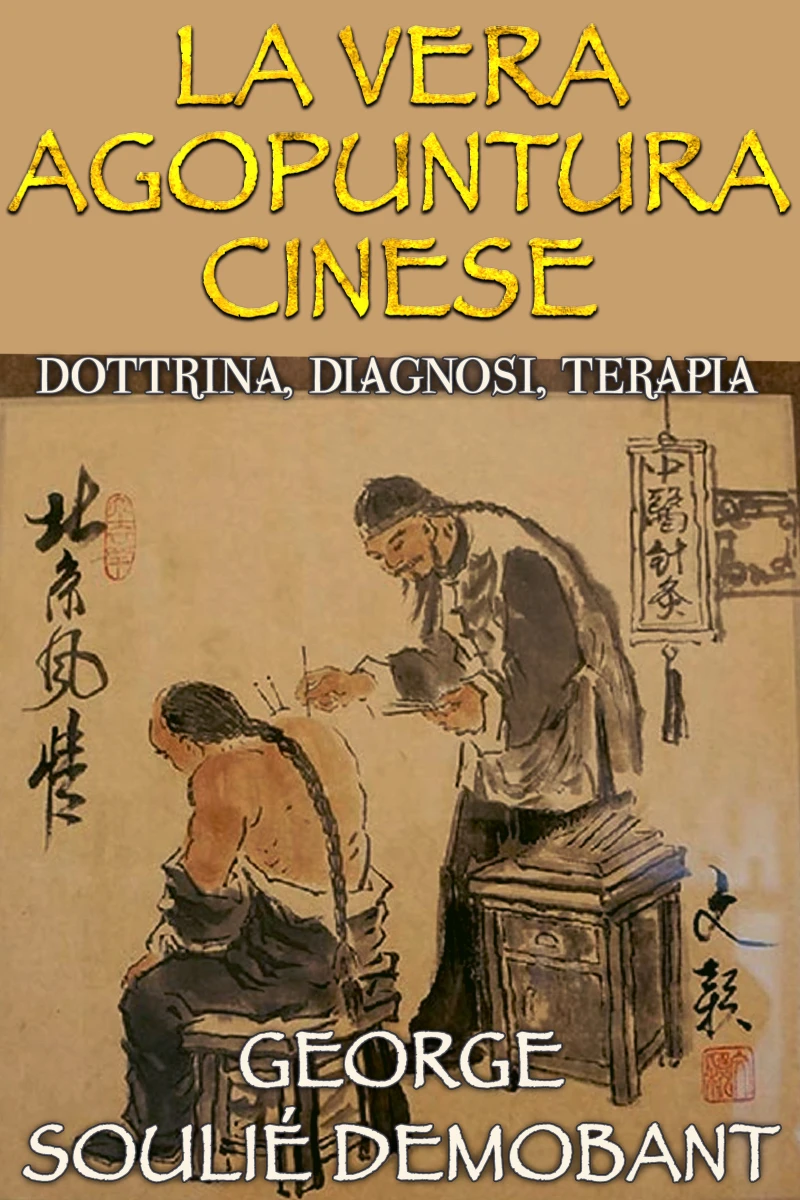 Portada: La vera agopuntura cinese