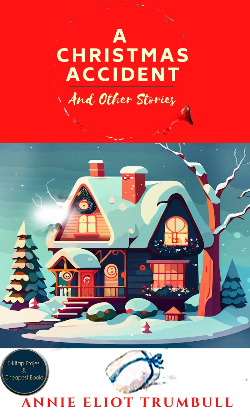 Portada: A Christmas Accident and Other Stories
