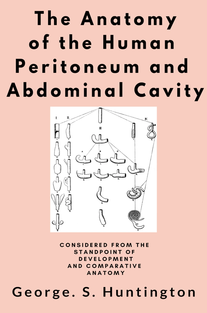 Portada: The Anatomy of the Human Peritoneum and Abdominal Cavity