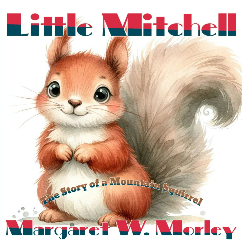 Portada: Little Mitchell