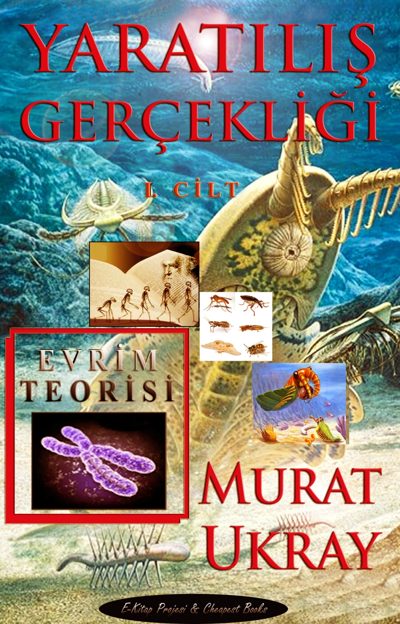 Portada: Yaratılış Gerçekliği (I. Cilt)