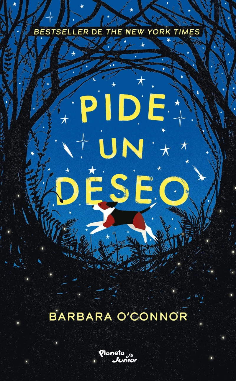Portada: Pide un deseo