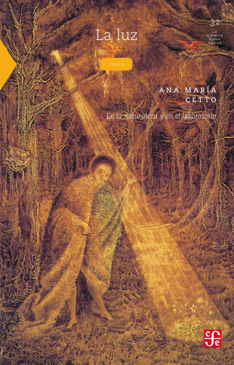 Portada: La luz