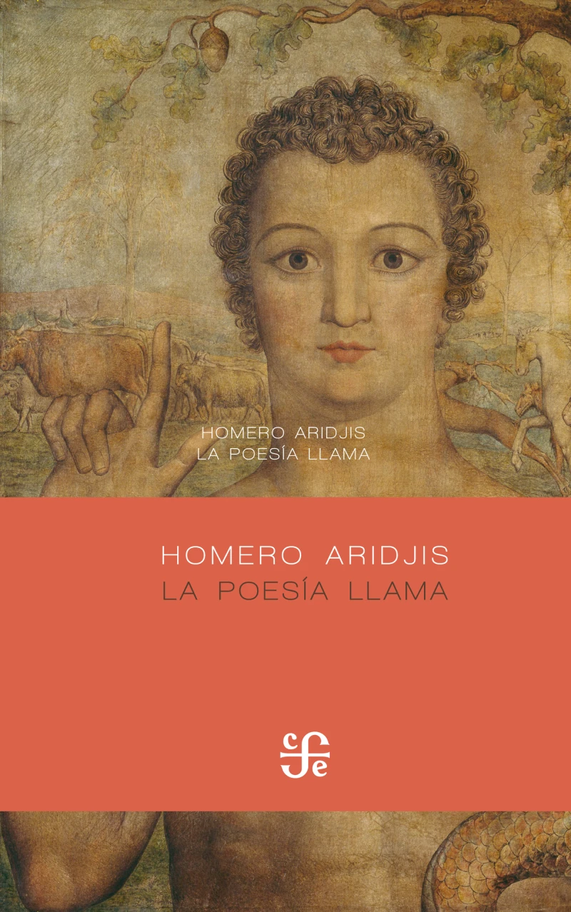 Portada: La poesía llama