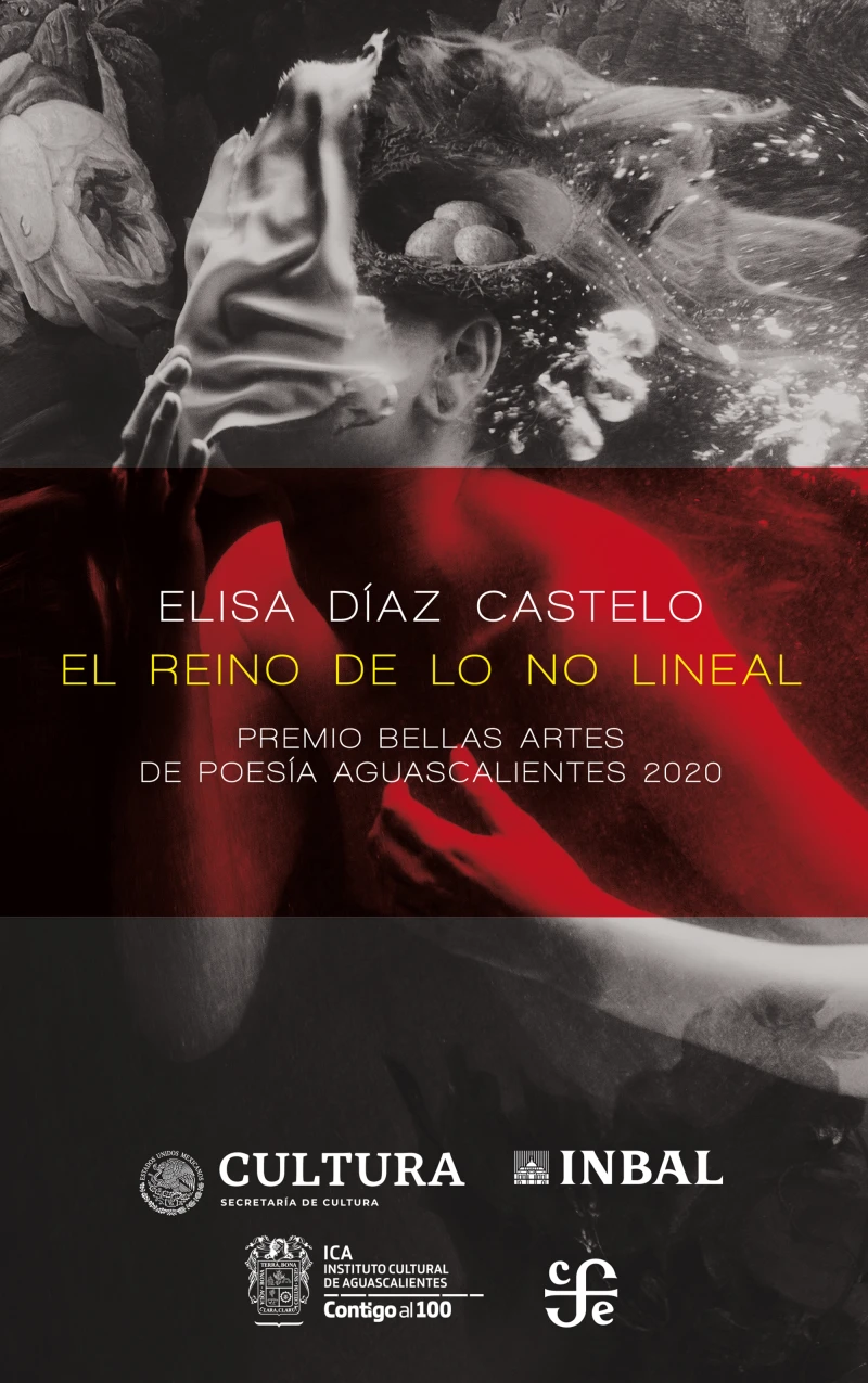 Portada: El reino de lo no lineal