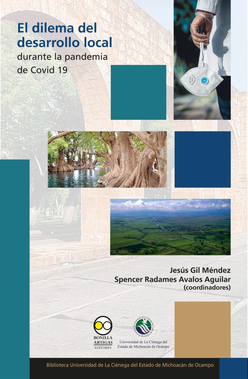 Portada: El dilema del desarrollo local durante la pandemia de Covid 19