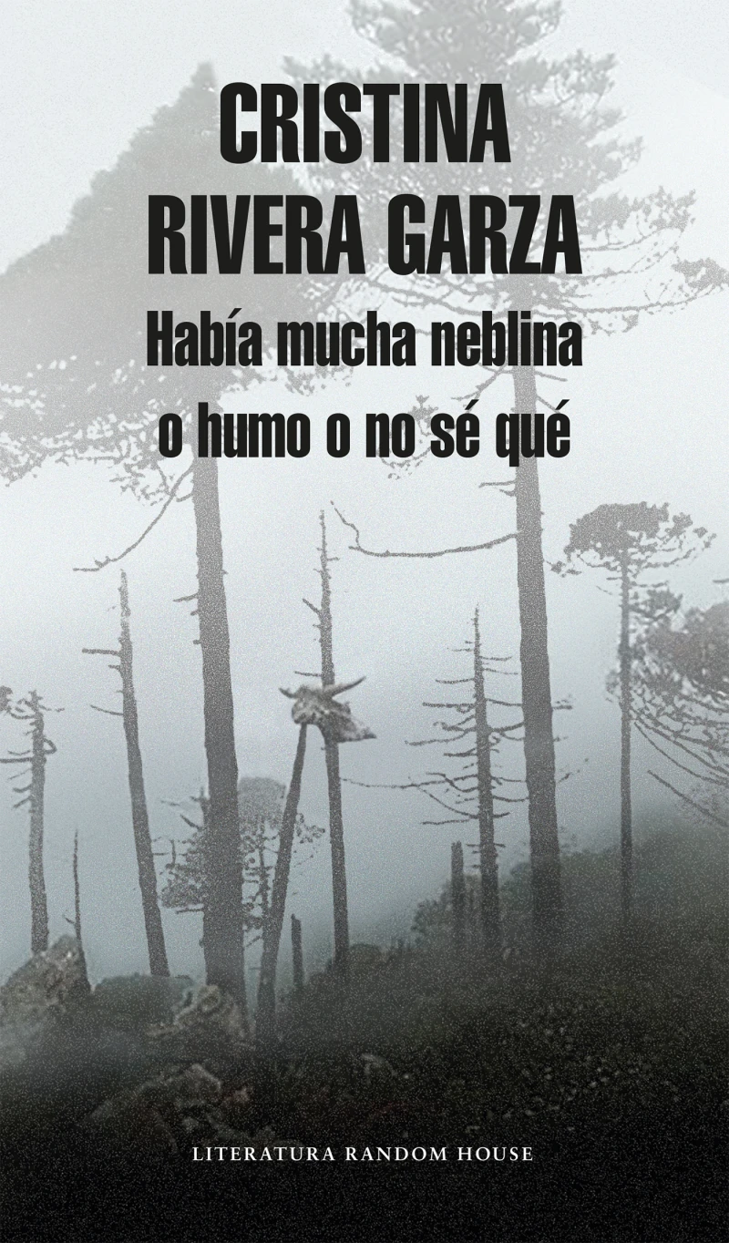 Portada: Había mucha neblina o humo o no sé qué