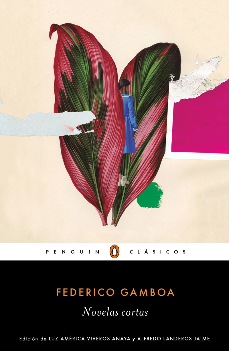 Portada: Novelas cortas