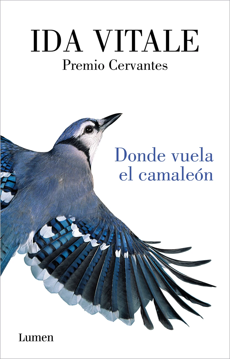 Portada: Donde vuela el camaleón