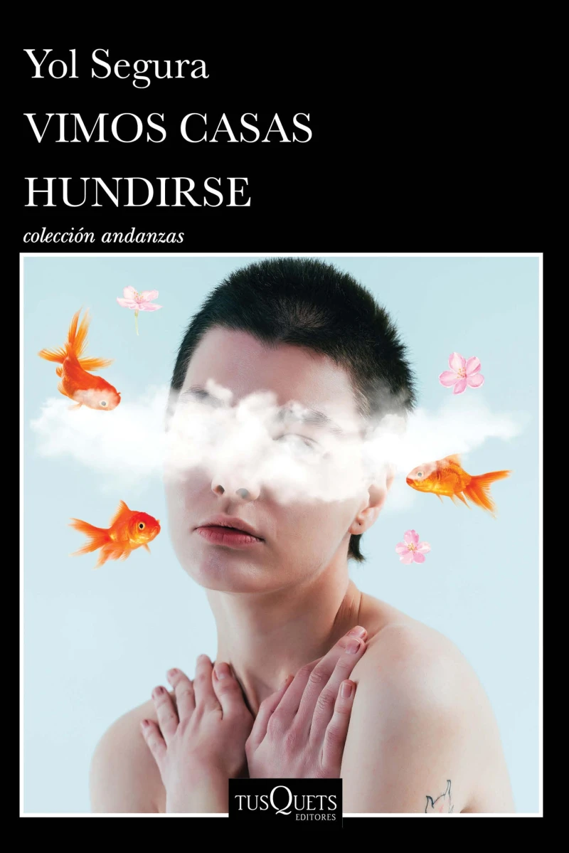 Portada: Vimos casas hundirse