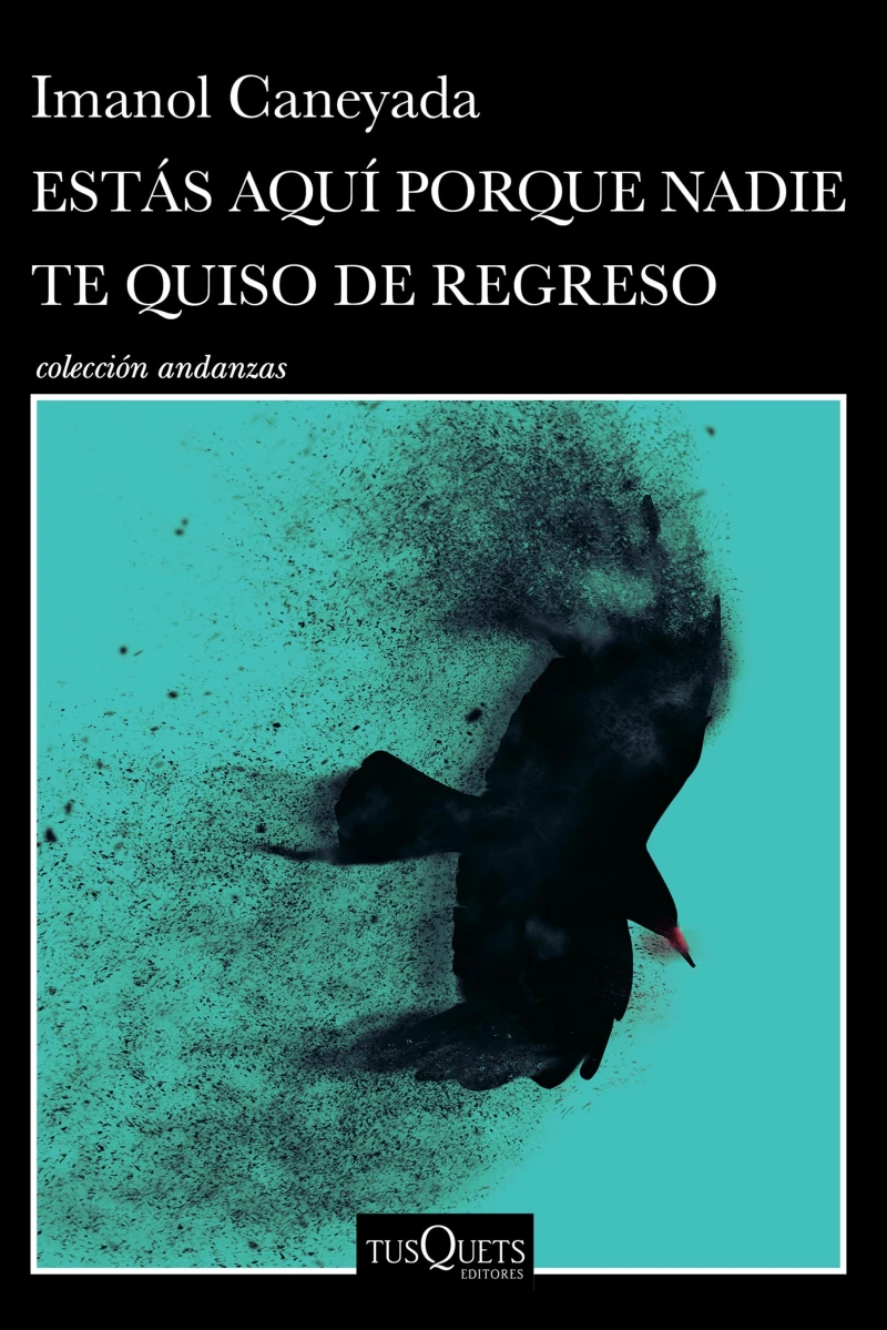 Portada: Estás aquí porque nadie te quiso de regreso