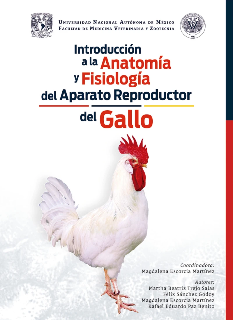 Portada: Introducción a la anatomía y fisiología del aparato reproductor del gallo