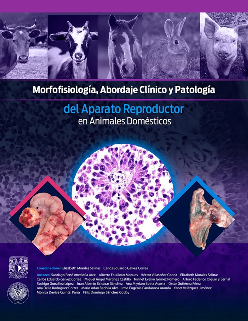 Portada: Morfofisiología, abordaje clínico y patología del aparato reproductor en animales domésticos