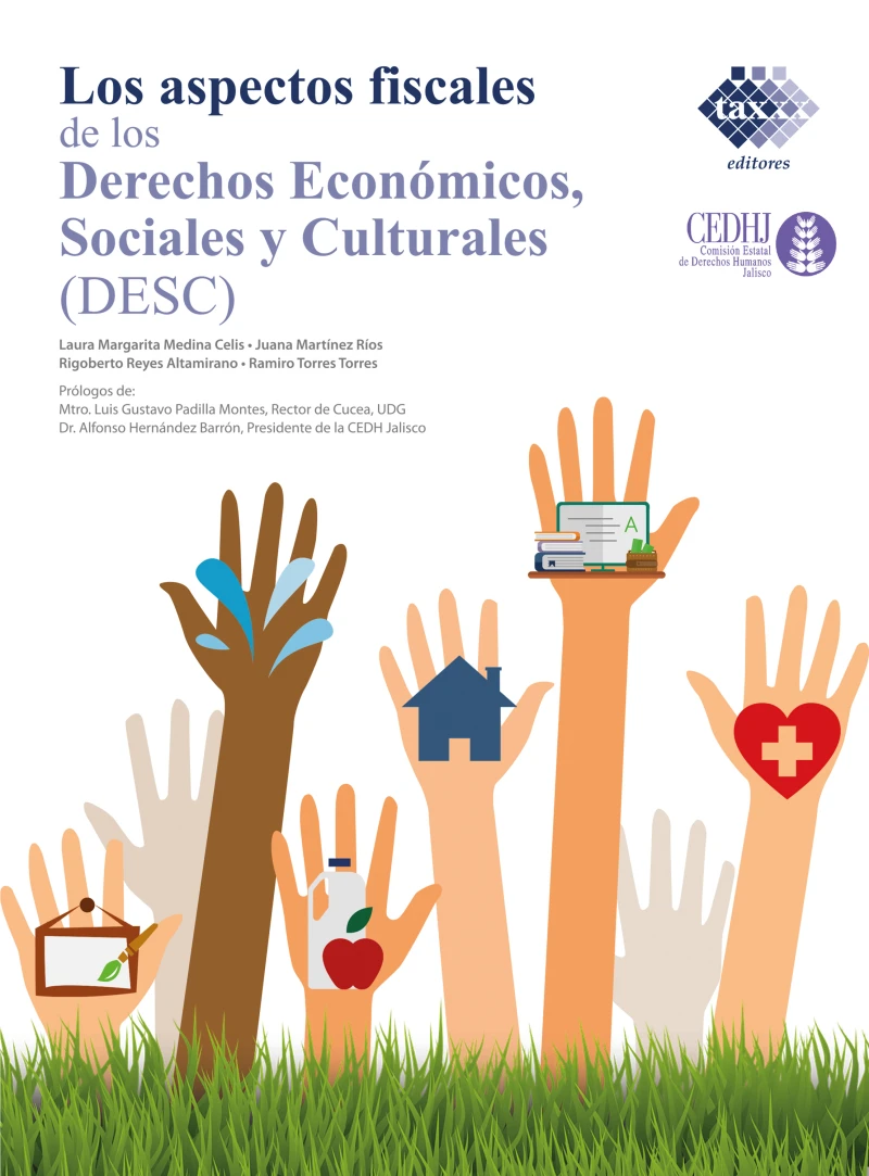 Portada: Los Aspectos fiscales de los derechos económicos, sociales y culturales (DESC) 2020