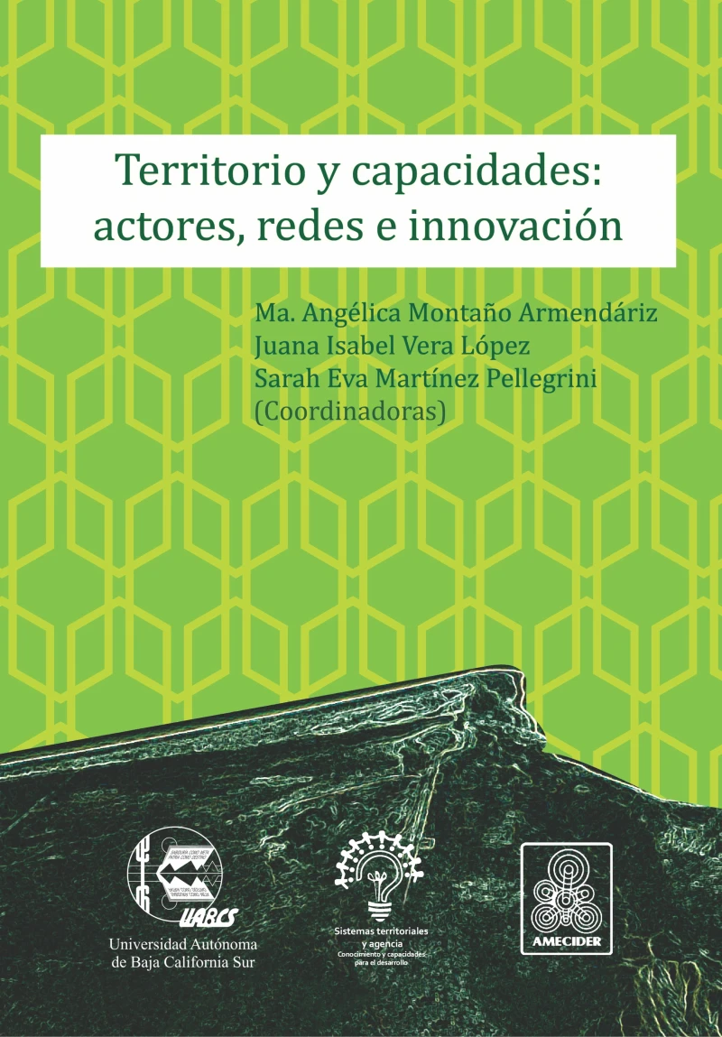 Portada: Territorio y capacidades: actores, redes e innovación