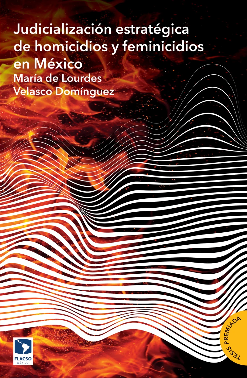 Portada: Judicialización estratégica de homicidios y feminicidios en México