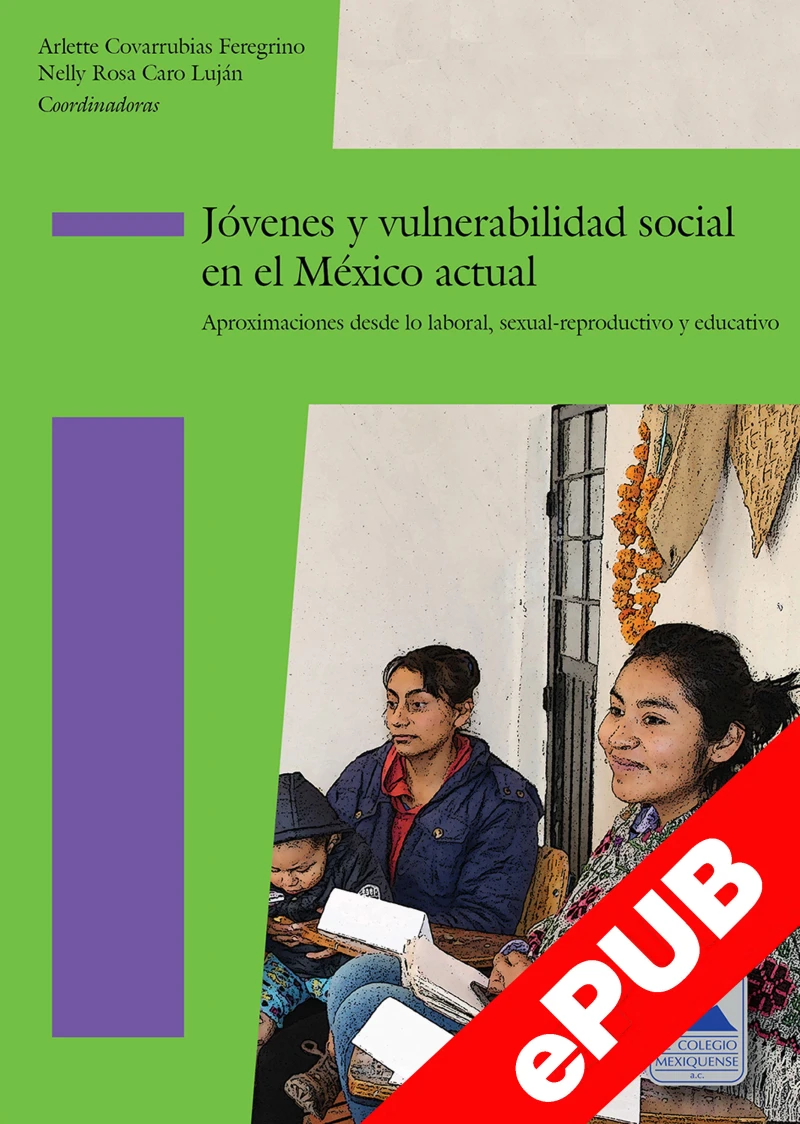 Portada: Jóvenes y vulnerabilidad social en el México actual