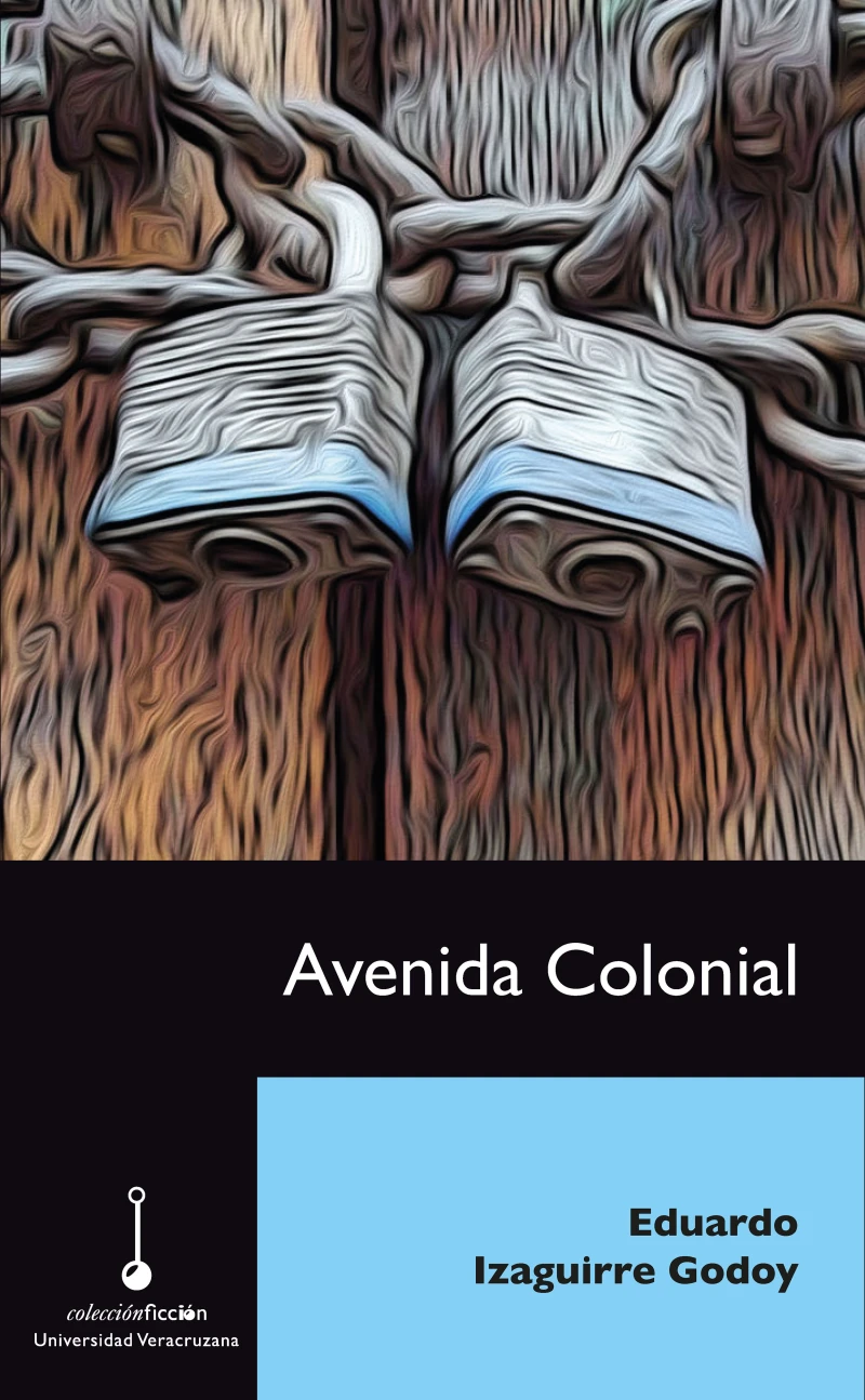 Portada: Avenida colonial