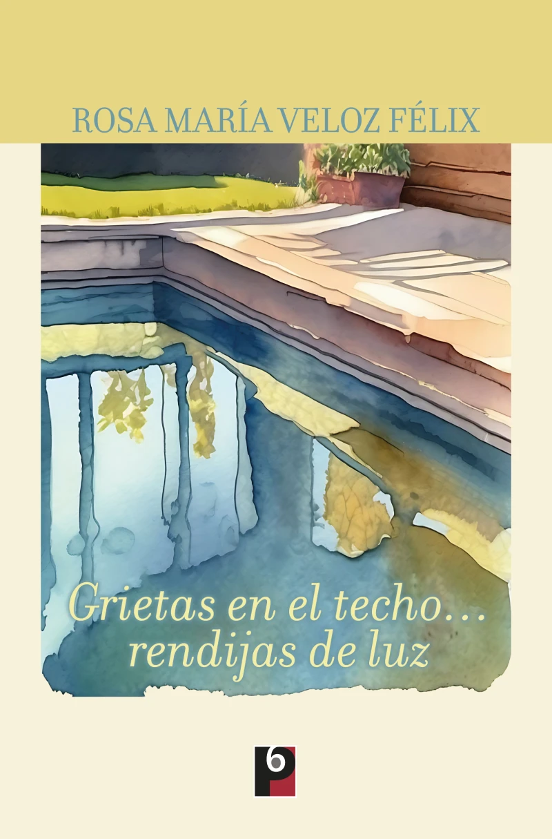 Portada: Grietas en el techo... rendijas de luz