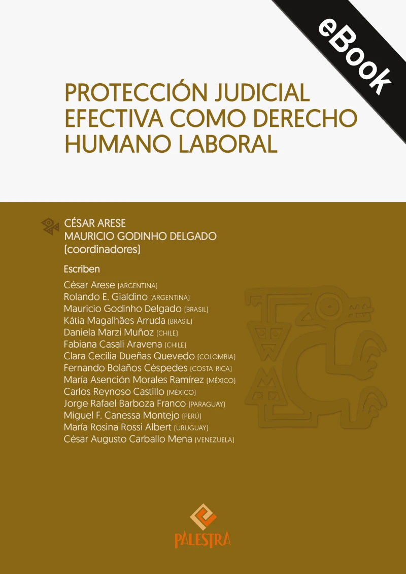 Portada: Protección judicial efectiva como derecho humano laboral