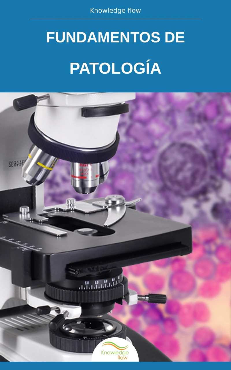 Portada: Fondamenti di Patologia