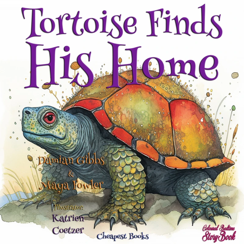 Portada: Tortoise Finds His Home