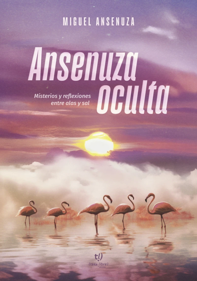 Portada: Ansenuza oculta