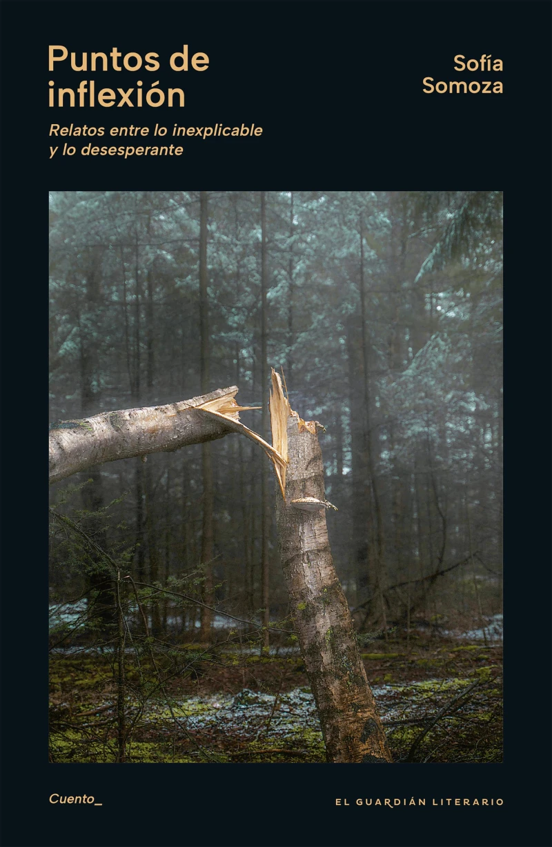 Portada: Puntos de inflexión