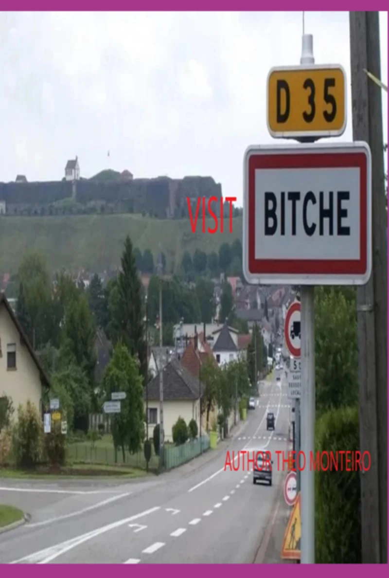 Portada: Visit Bitche!