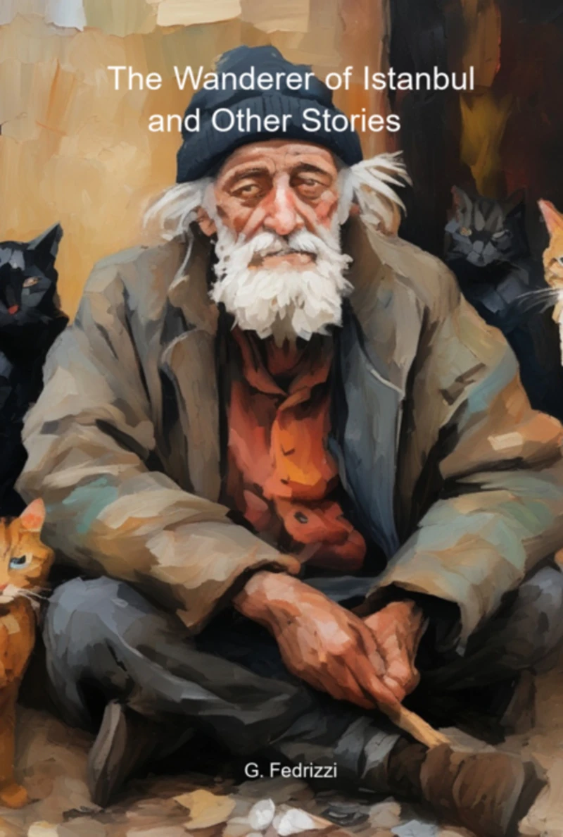 Portada: The Wanderer Of Istanbul And Other Stories