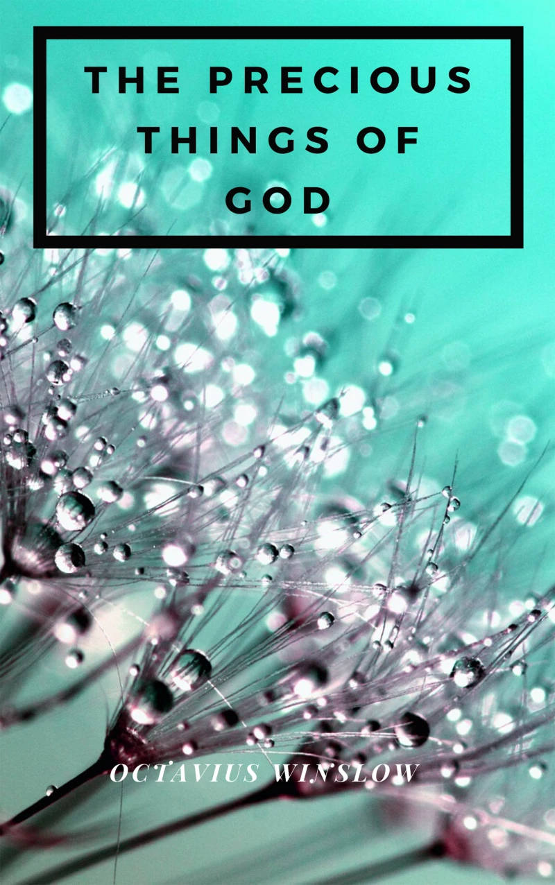 Portada: The Precious Things Of God