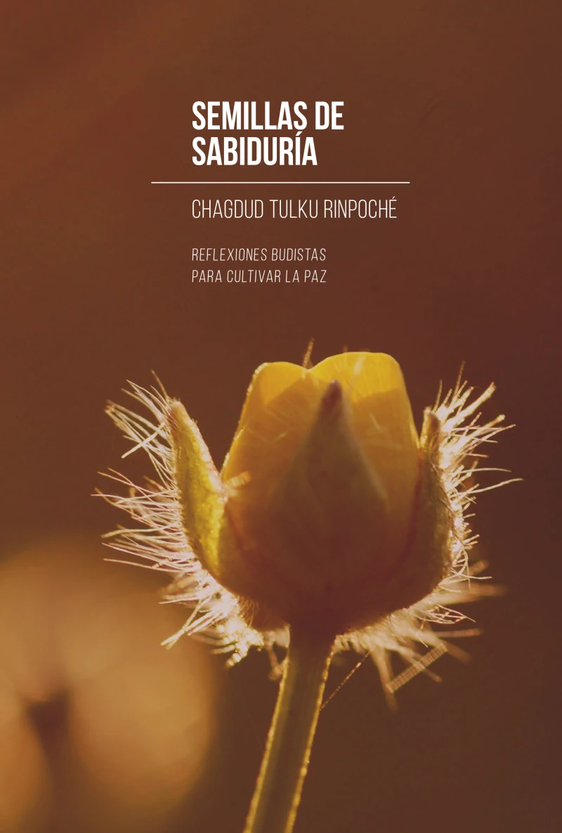 Portada: Semillas de sabiduría