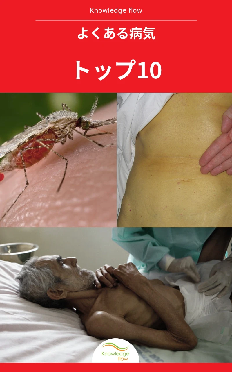 Portada: よくある病気トップ10