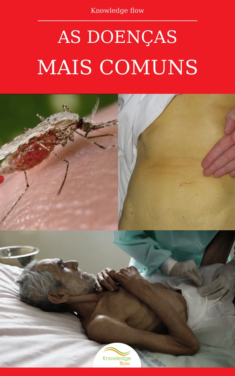 Portada: As Doenças Mais Comuns