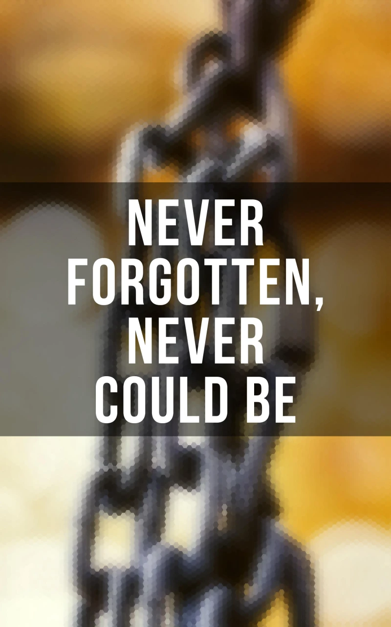 Portada: Never Forgotten, Never Could be