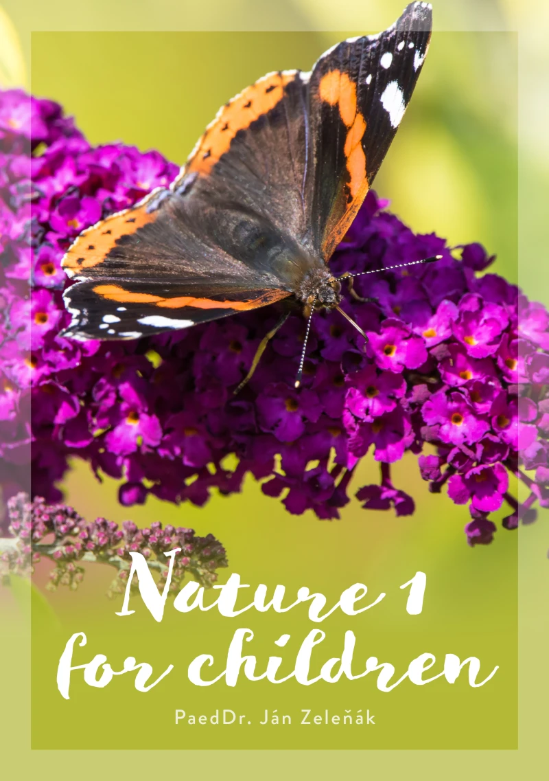 Portada: Nature for children (part 1)