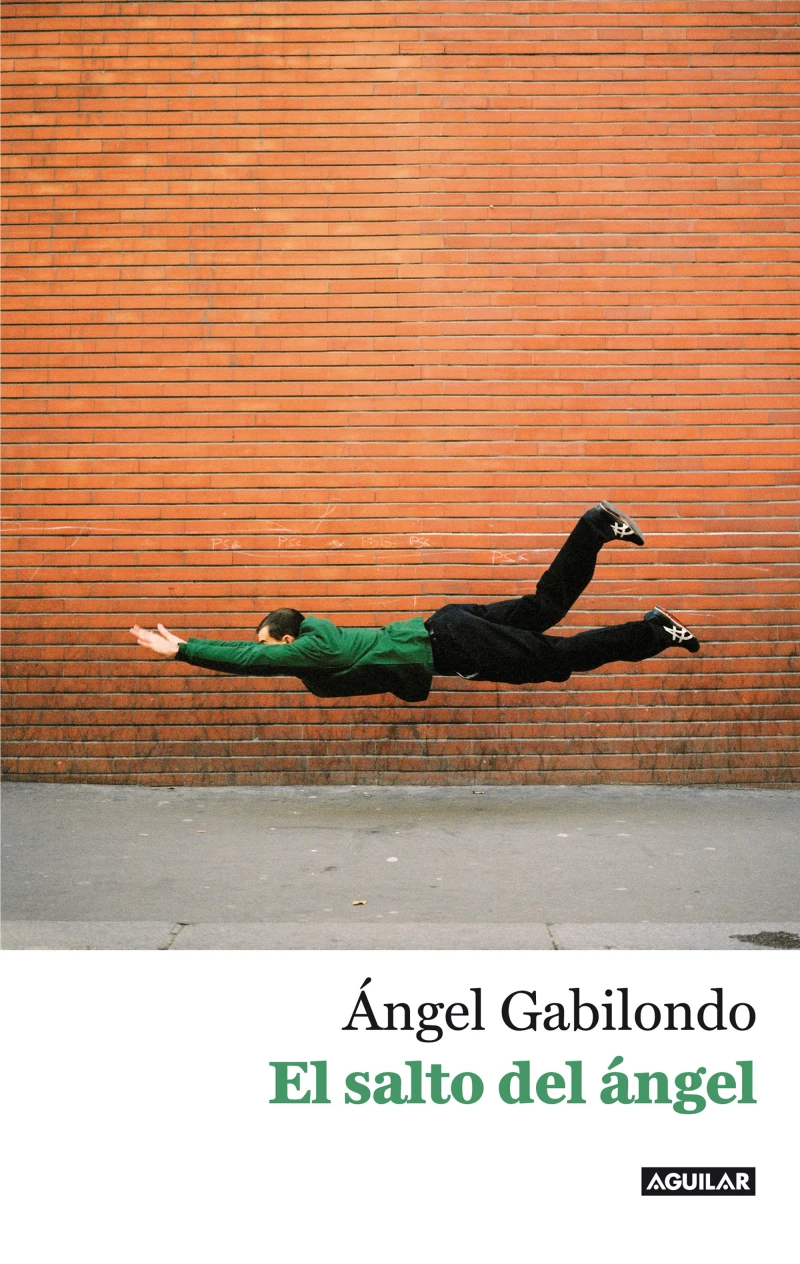 Portada: El salto del ángel. Palabras para comprendernos