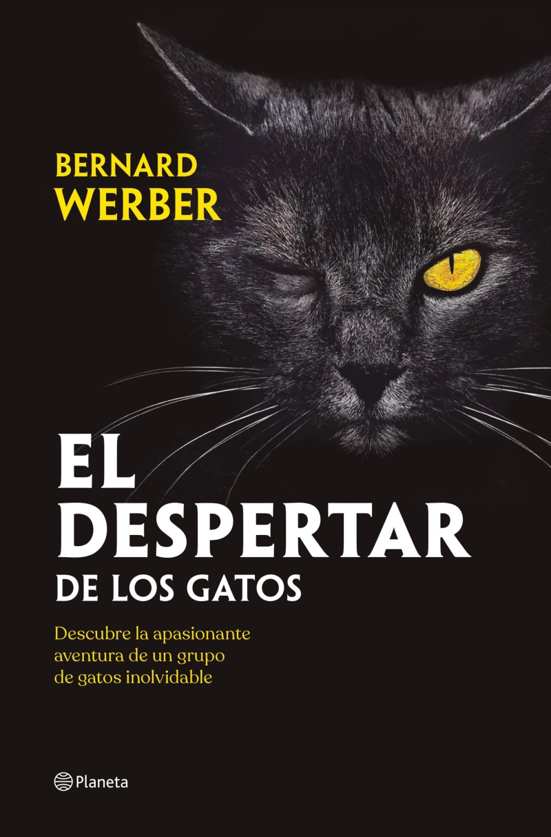 Portada: El despertar de los gatos