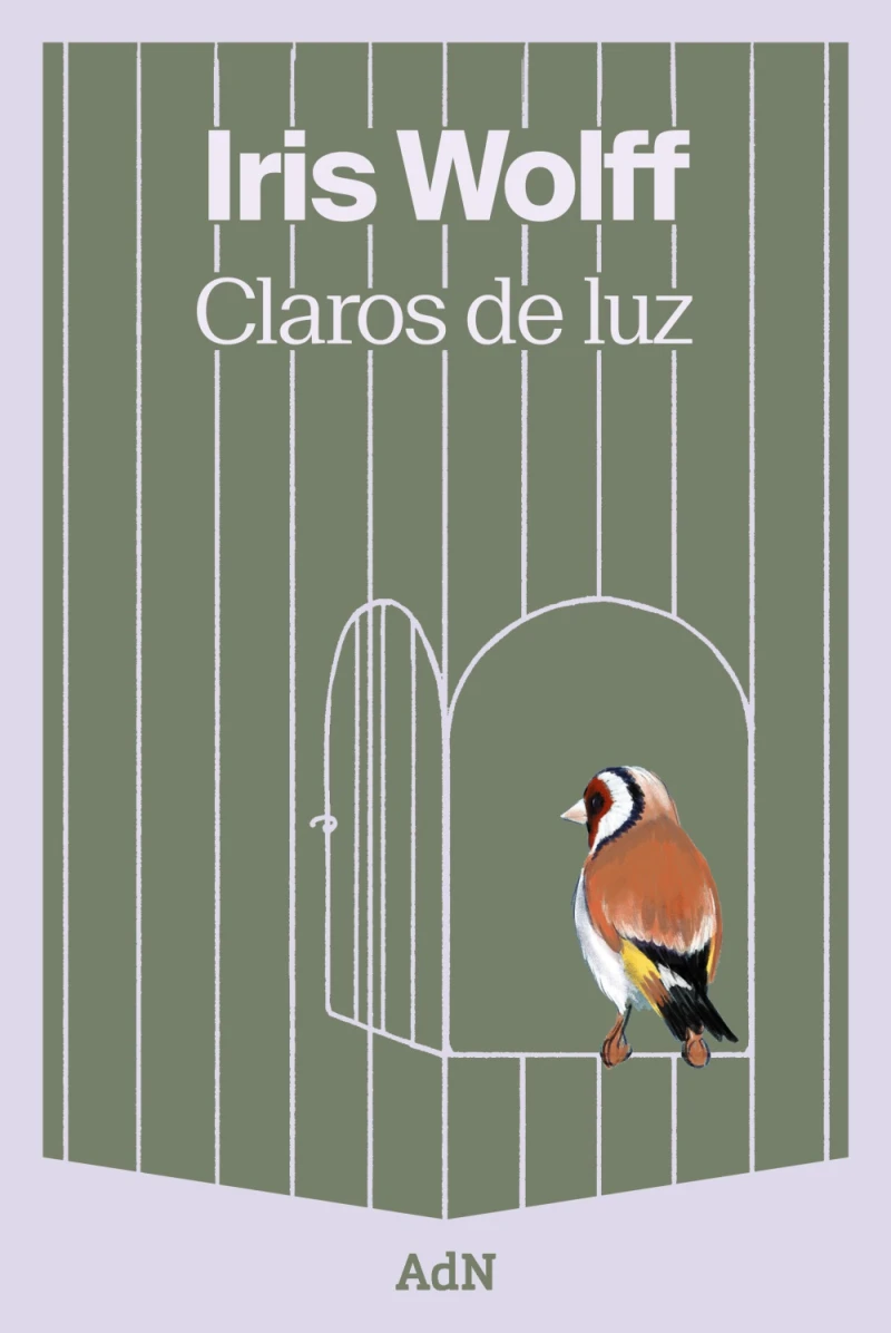 Portada: Claros de luz