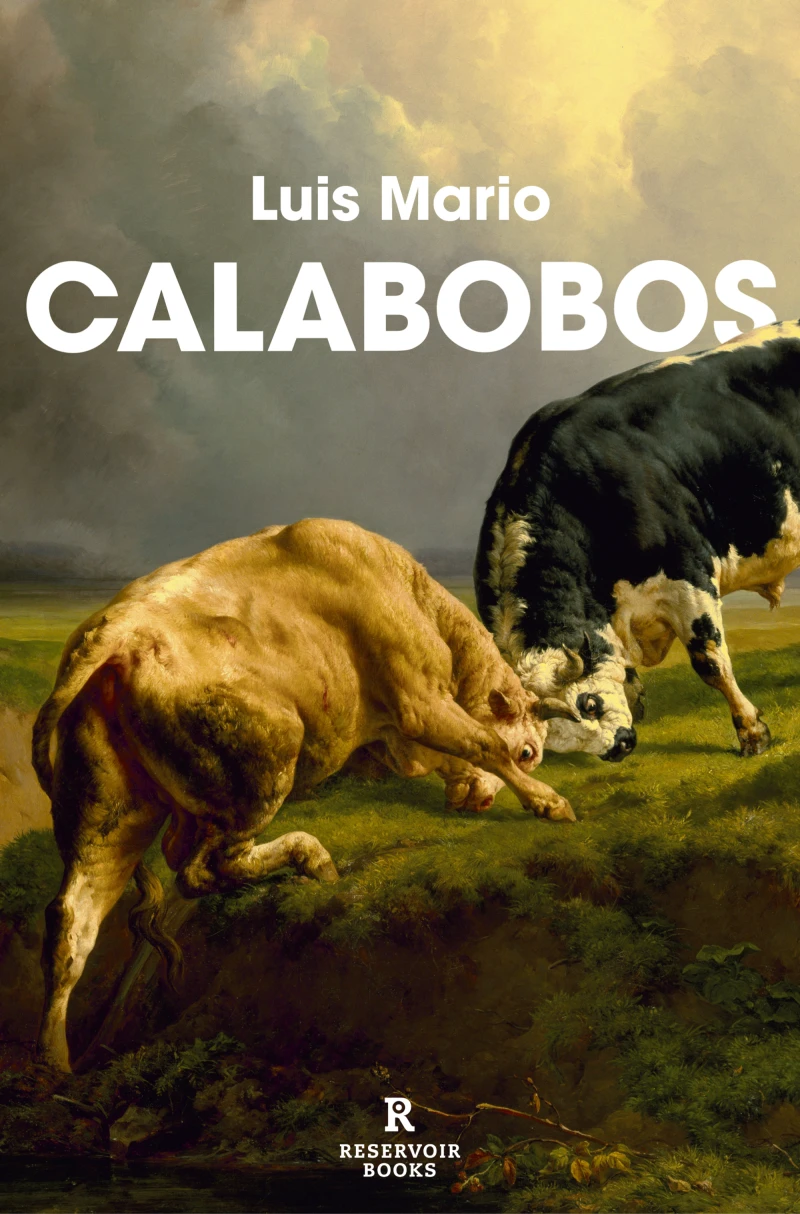 Portada: Calabobos