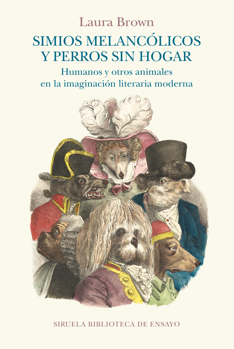 Portada: Simios melancólicos y perros sin hogar