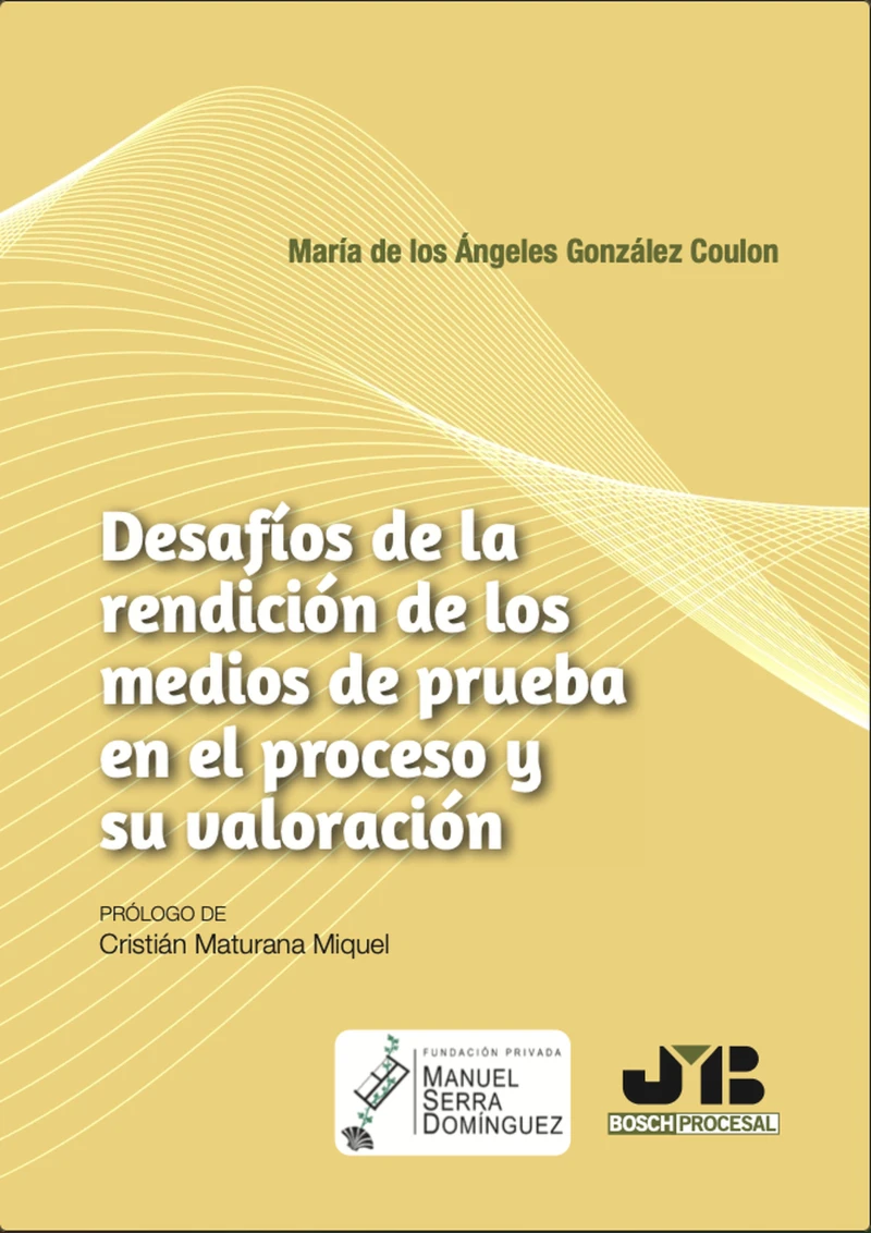 Portada: Desafíos de la rendición de los medios de prueba en el proceso y su valoración