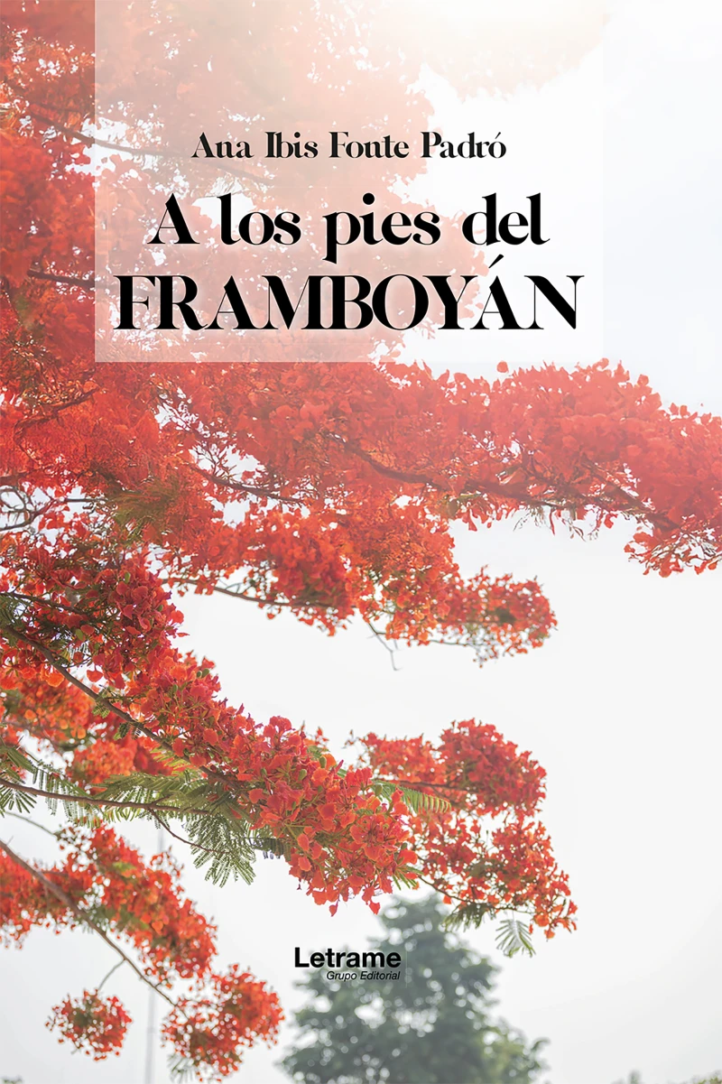 Portada: A los pies de framboyán