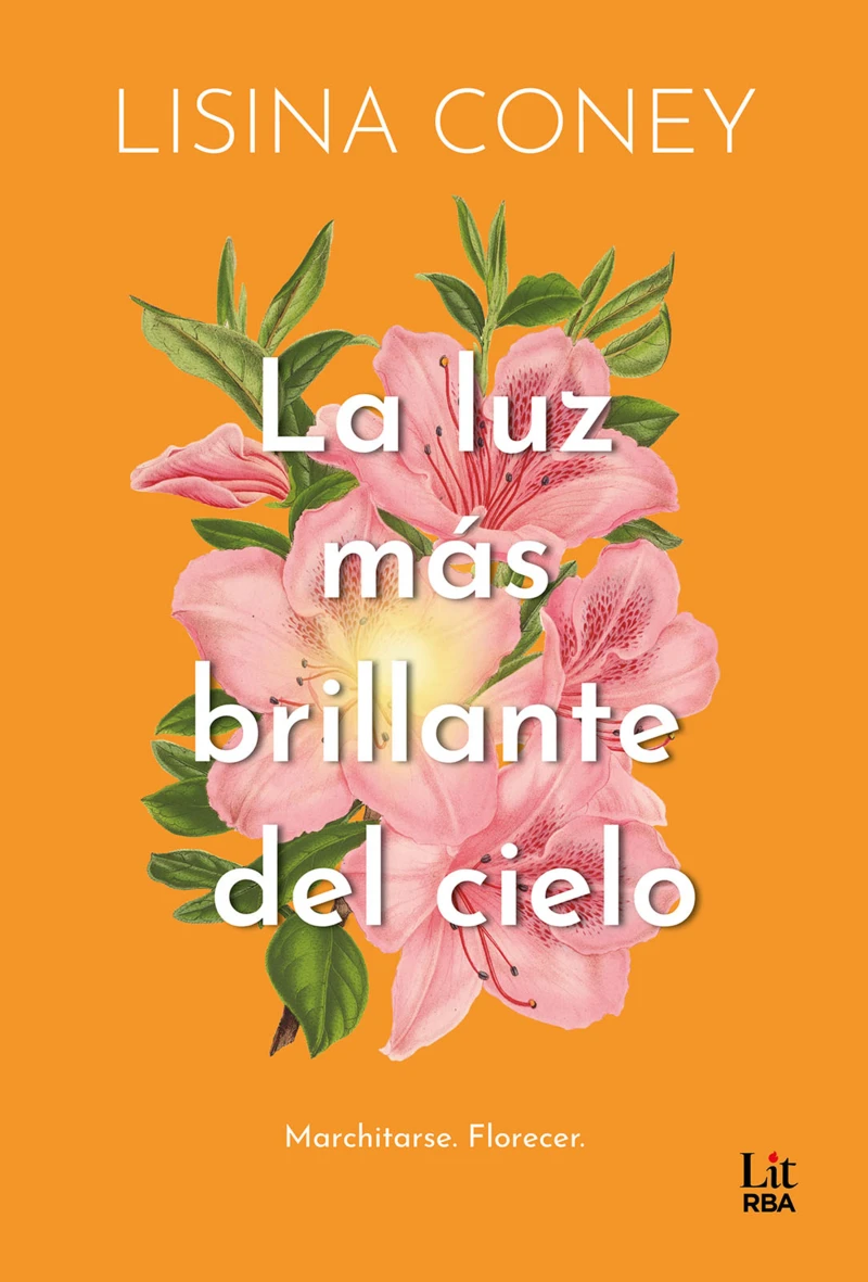 Portada: La luz más brillante del cielo